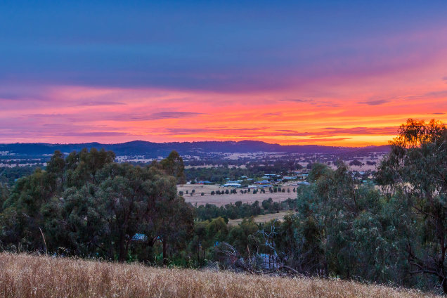Wagga Real Estate Agent - rent